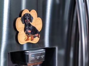 Image of Miniature Dachshund Magnet