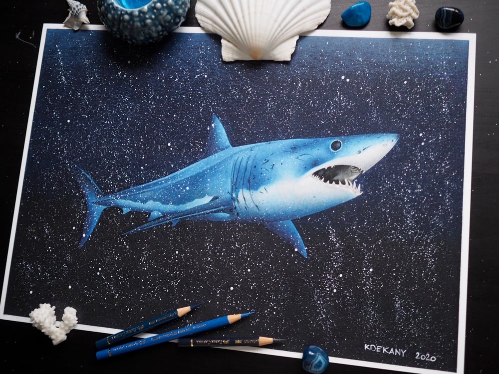 Image of Shortfin Mako Shark Fine Art Print
