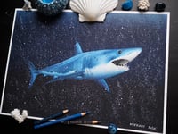 Image 1 of Shortfin Mako Shark Fine Art Print