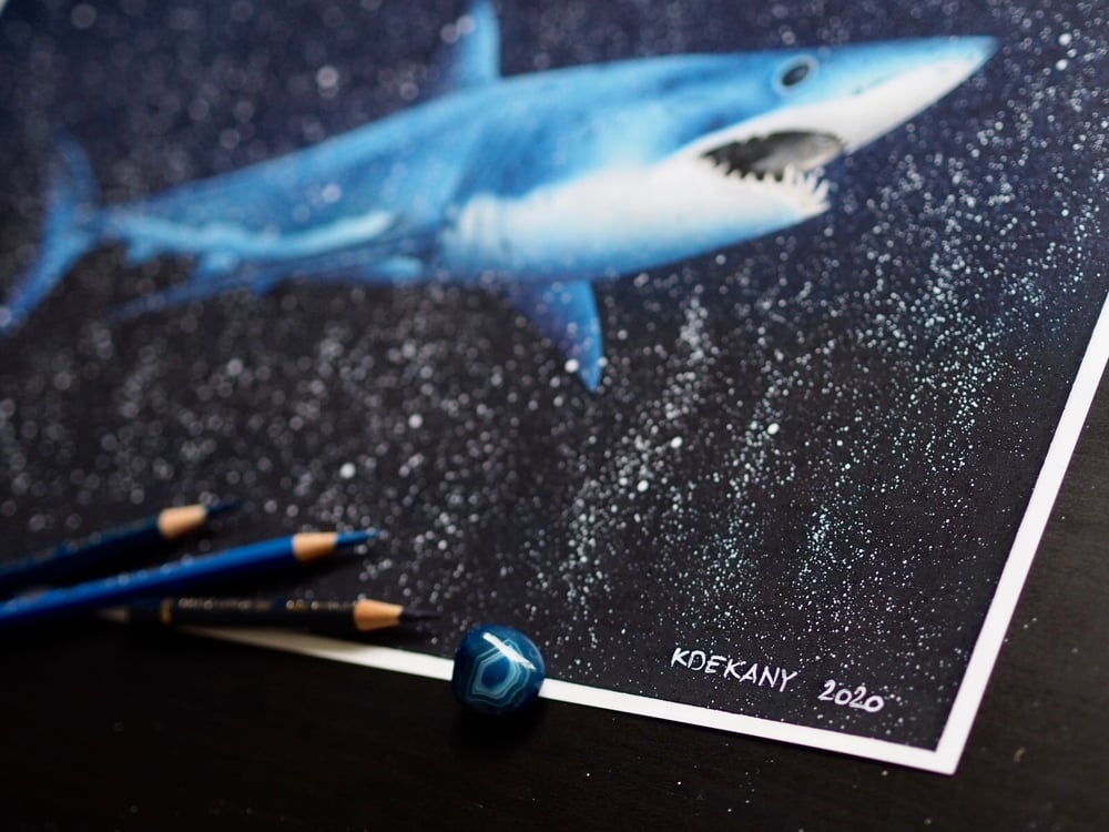Image of Shortfin Mako Shark Fine Art Print