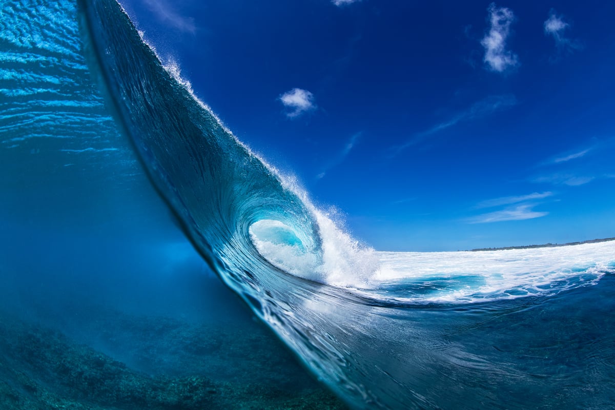 Image of Mentawai Cross-section