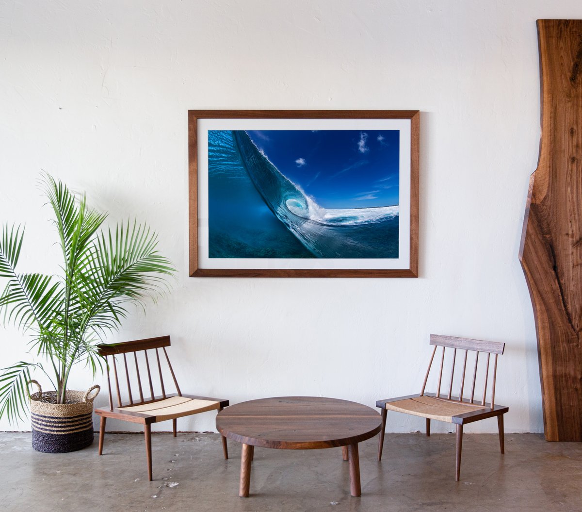 Image of Mentawai Cross-section