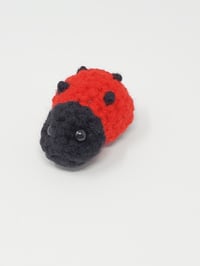 Tiny Ladybug