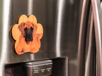 Image 2 of Great Dane Magnet