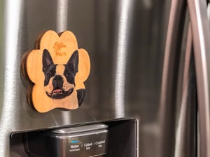 Image of Boston Terrier Magnet