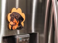 Image 2 of Rottweiler Magnet