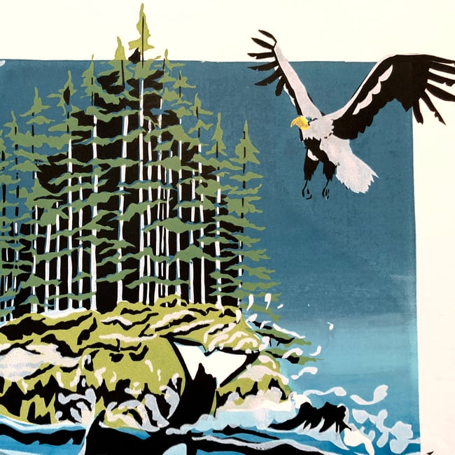 Orca family and Seal