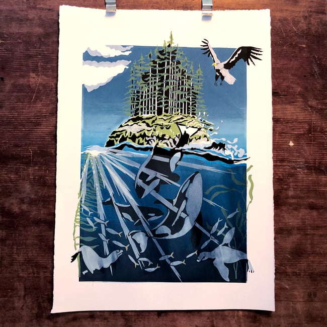 Orca family and Seal