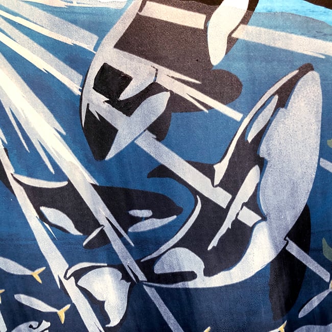 Orca family and Seal