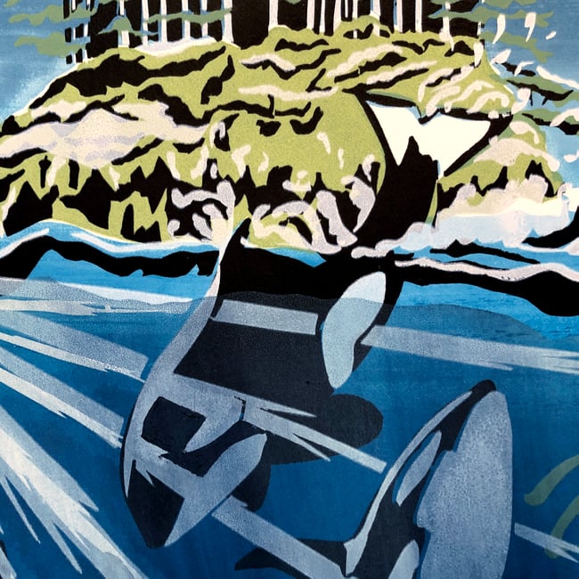 Orca family and Seal