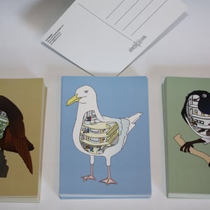 Image of Bird Postcard Set
