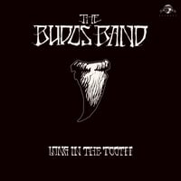 Budos Band - Long In The Tooth CD