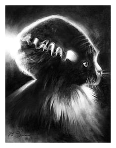Image of The Cat Came Back