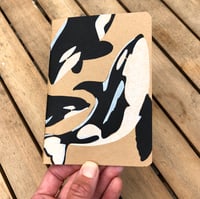 Image 4 of Orca Notebook