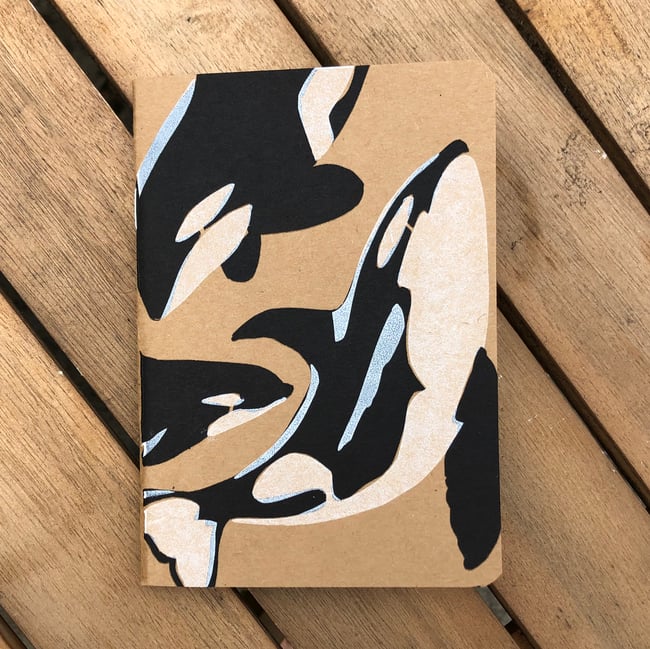 Orca Notebook