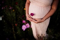 Image 4 of Maternity Session - Professional Portraits