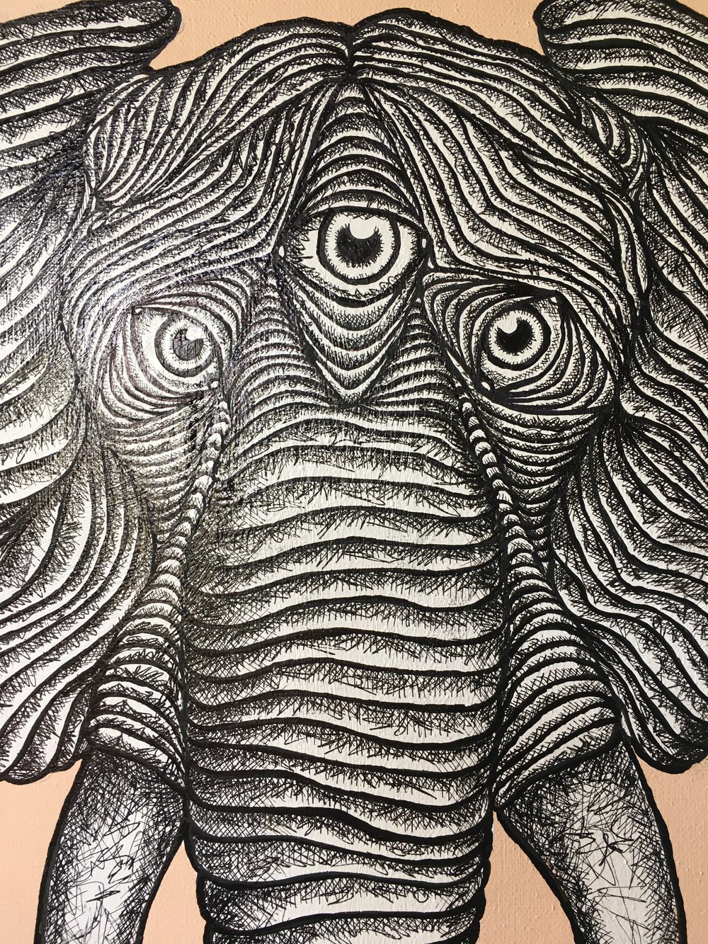 ‘Phant’