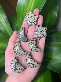 Dalmatian Jasper Moon and Stars