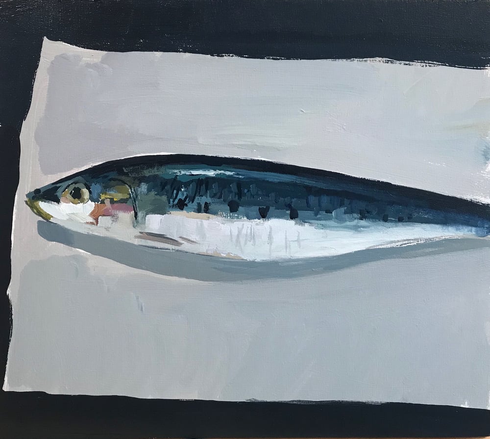 Image of Sardine 