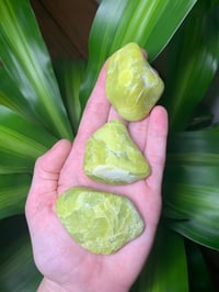 American Jade/Serpentine Large Tumbles