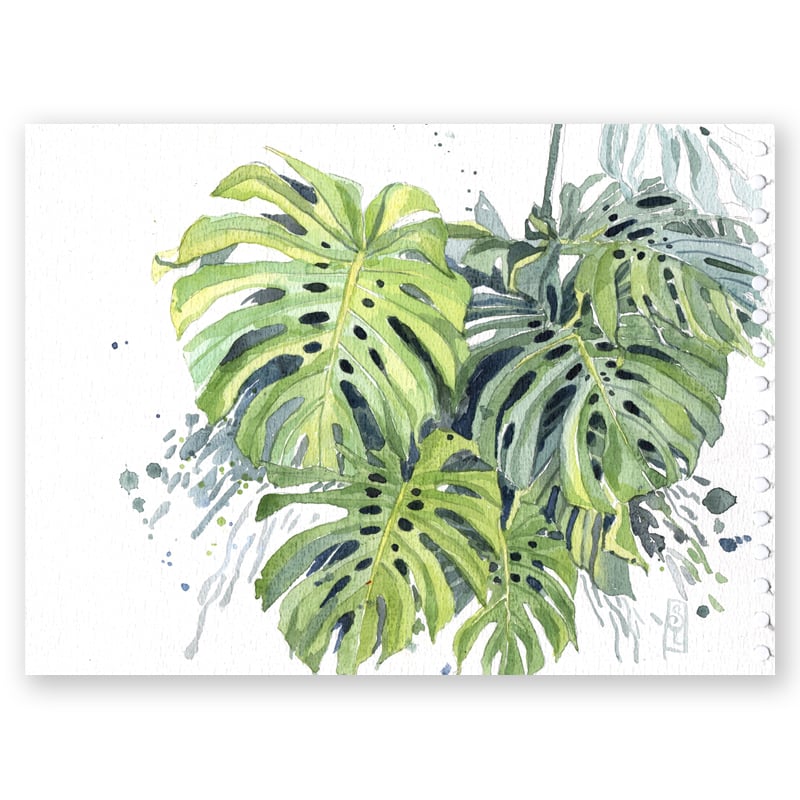 Image of Original Painting - "Philodendron monstera" - 20x30 cm
