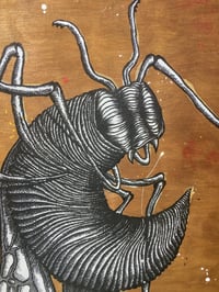 Image 2 of ‘Wasp thing'