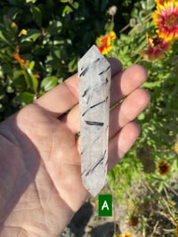 Image 1 of Tourmalinated Quartz Wands