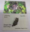 Scops Owl - August 2020