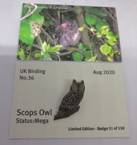 Image 1 of Scops Owl - August 2020