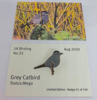 Image 1 of Grey Catbird - No.35 - UK Birding Series