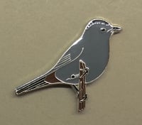 Image 2 of Grey Catbird - No.35 - UK Birding Series