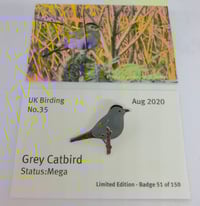 Image 4 of August 2020 UK Birding Pin Releases