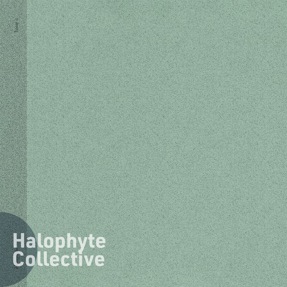 Halophyte: Issue 0