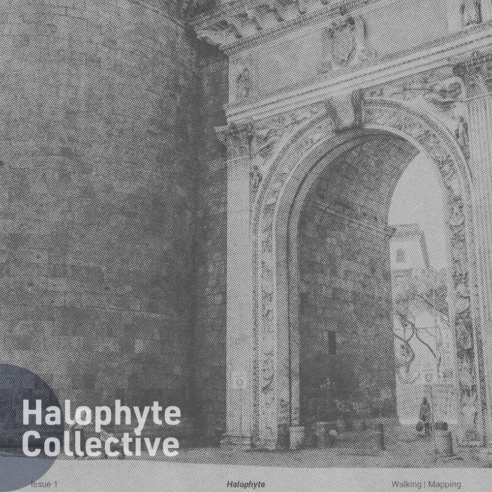 Halophyte: Issue 1