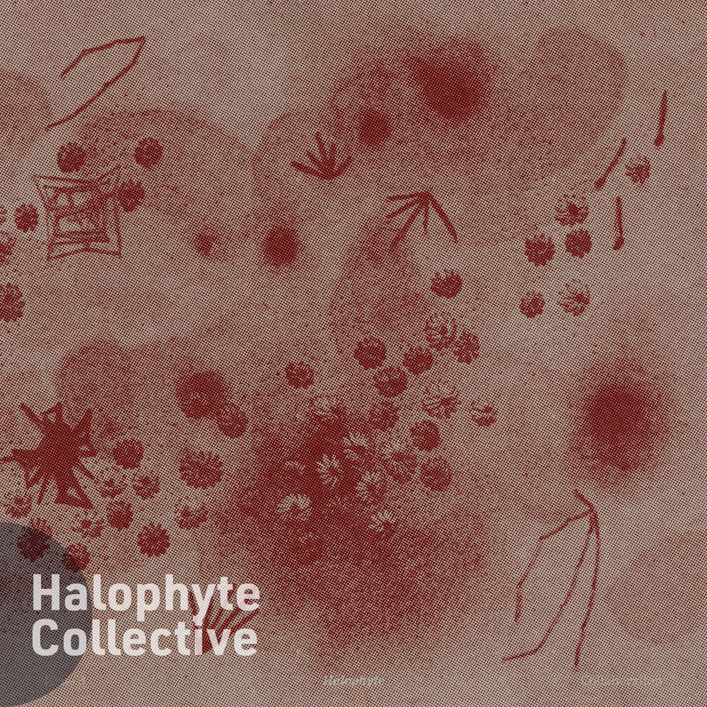Halophyte: Issue 3
