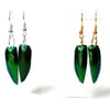 Jewel Beetle Wing Solo Earrings