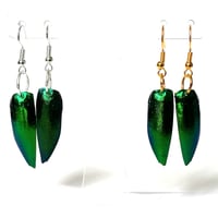 Jewel Beetle Wing Solo Earrings