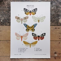 Image 1 of Moth School Chart
