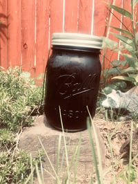 Image 4 of Organic Elderberry Syrup