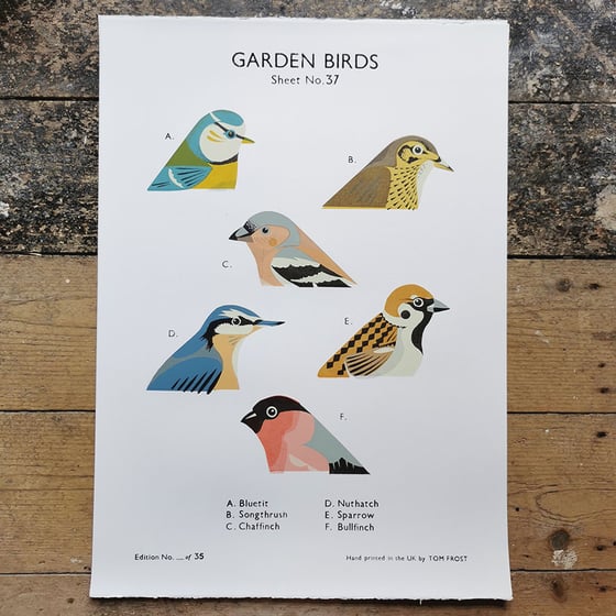 Image of Garden Birds School Chart