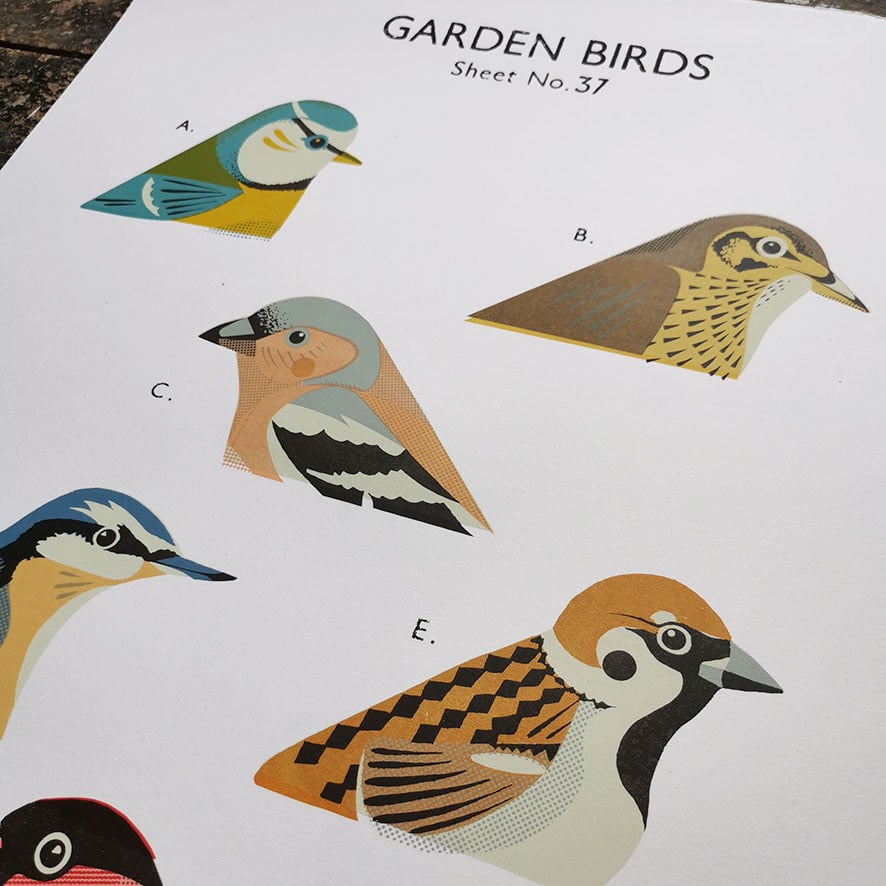 Image of Garden Birds School Chart
