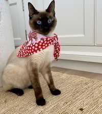 Image 3 of PINK COTTON SCARVES
