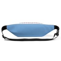 Image 5 of Anti-Fanny Fanny Pack
