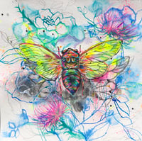 Image 1 of Botanical Cicada Study