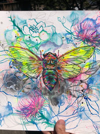 Image 3 of Botanical Cicada Study