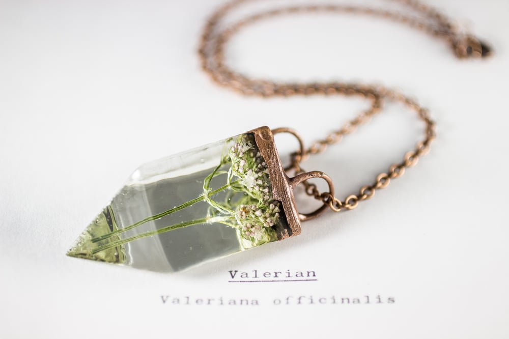 Image of Valerian (Valeriana officinalis) - Small Copper Prism Necklace #1