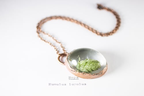 Image of Hops (Humulus lupulus) - Copper Plated Necklace #1