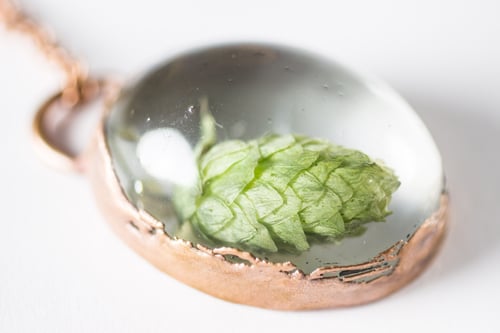 Image of Hops (Humulus lupulus) - Copper Plated Necklace #1