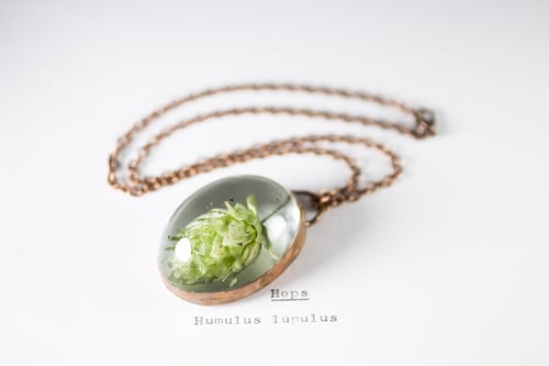 Image of Hops (Humulus lupulus) - Copper Plated Necklace #2