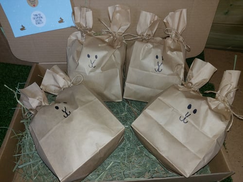 Image of Bunny Enrichment Forage Bags (Small and large available)
